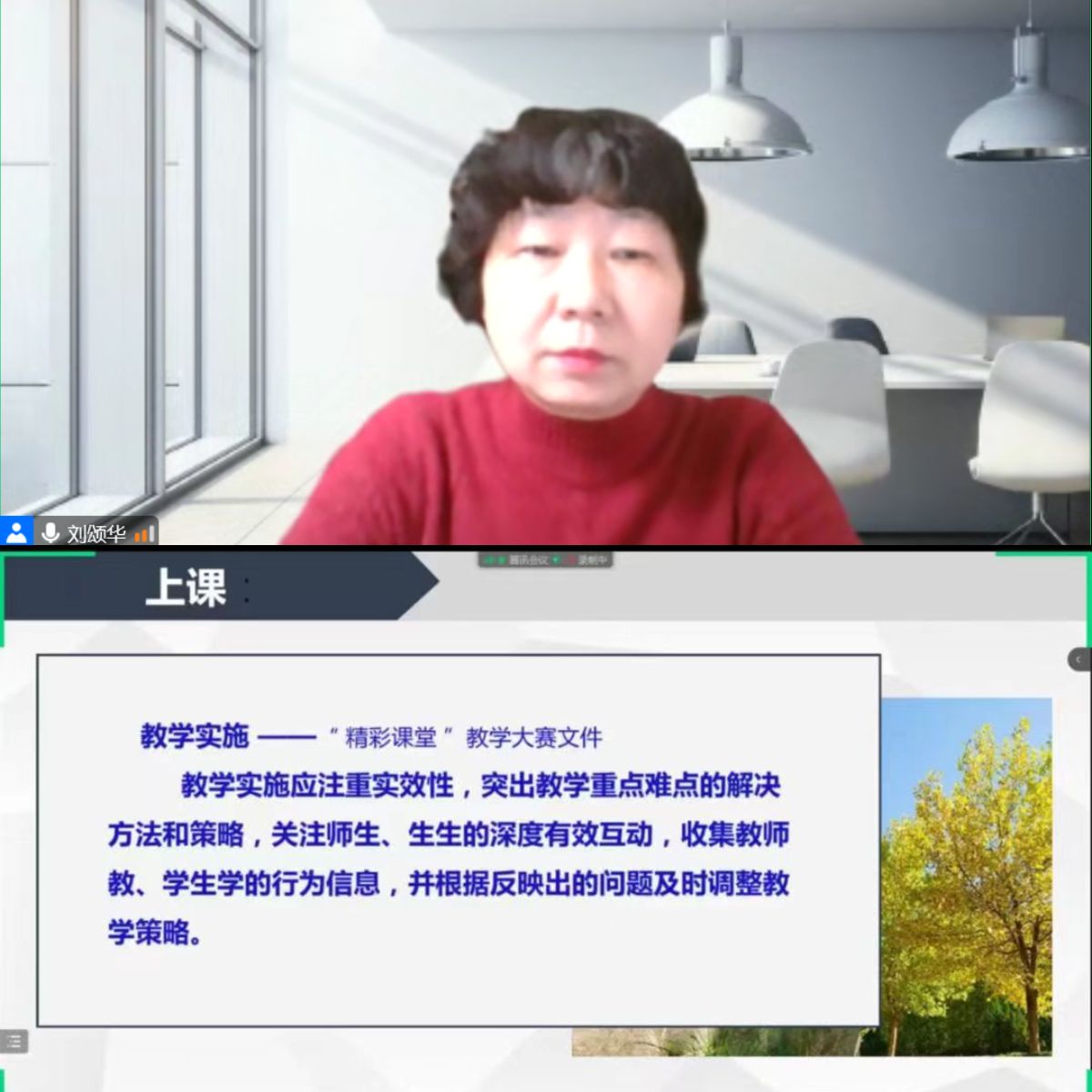 副教授刘颂华做讲座 副教授刘颂华做讲座