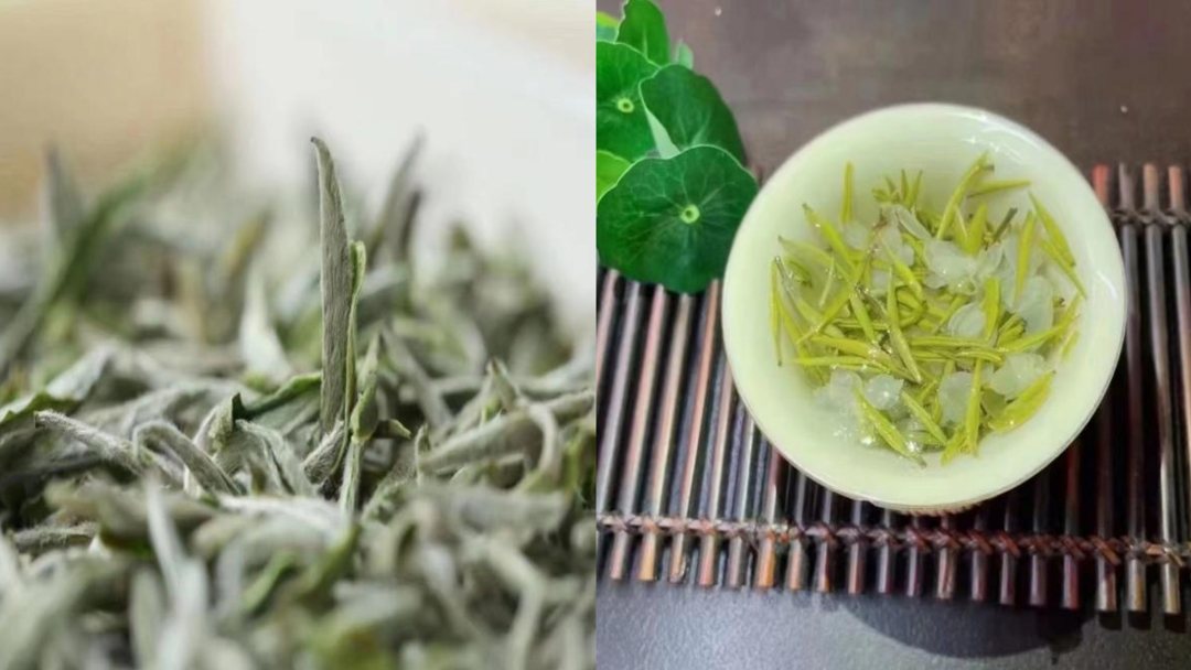 茶艺酒水实训 茶艺酒水实训