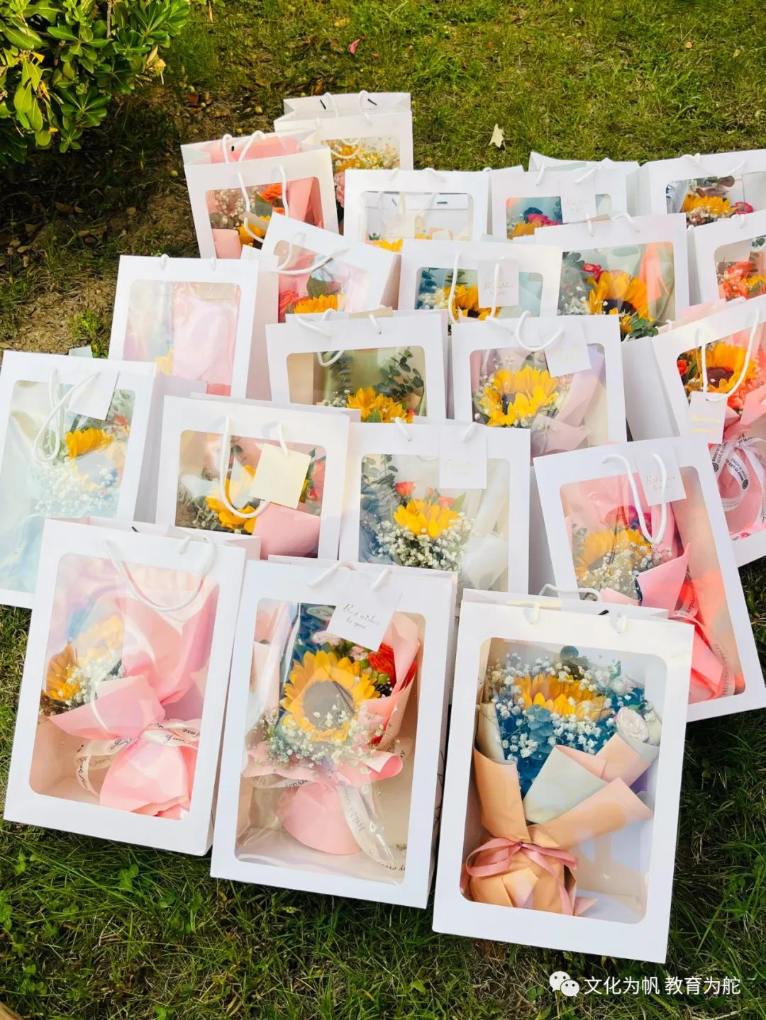 一束花的小惊喜 一束花的小惊喜