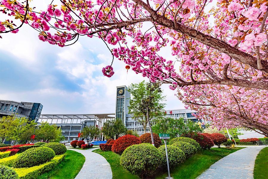 春意漫城院｜定格你眼中的诗意时光