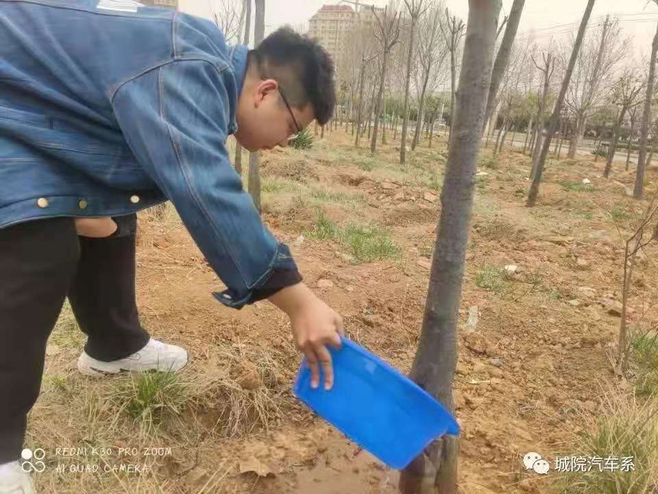 志愿者给小树浇水