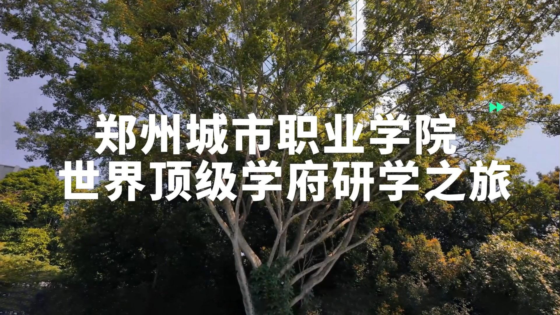 世界顶级学府研学之旅