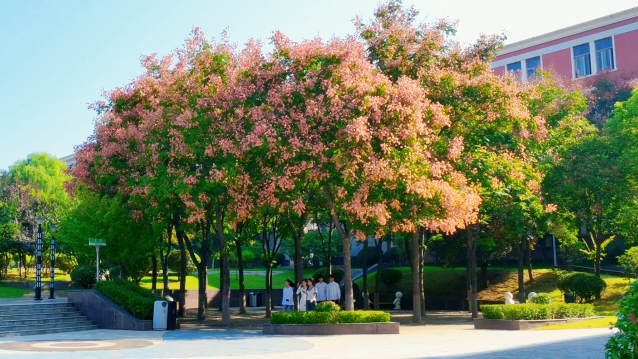 携手城院，找寻秋的浪漫