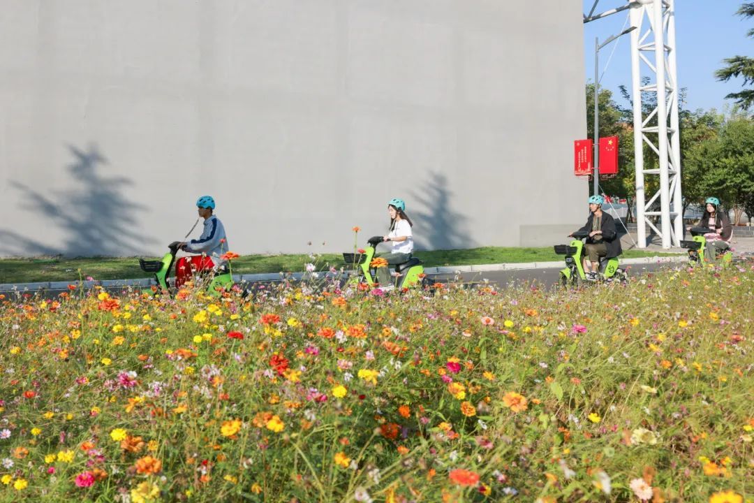 共享单车双11优惠 共享单车双11优惠