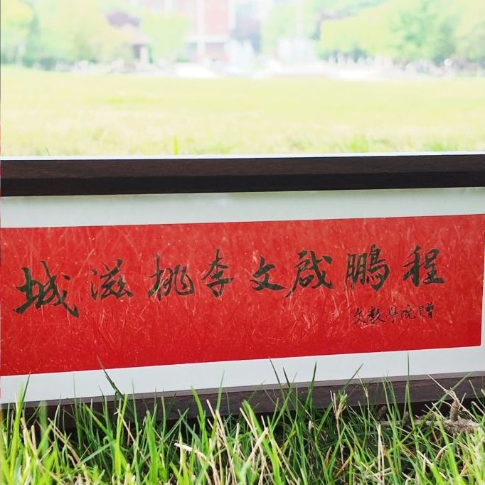 丝巾、墨香与漆扇：在郑州城市职业学院，单招不只是考试，更是一场“心的见面会”