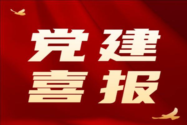 喜报！郑州城市职业学院辅导员工作案例再获殊荣