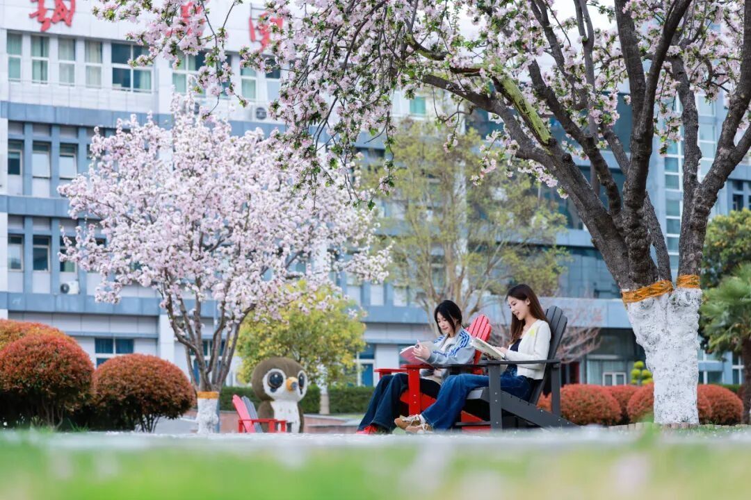 岁序更迭，收藏郑州城市职业学院的春夏秋冬